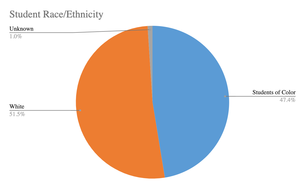 students by race and ethnicity