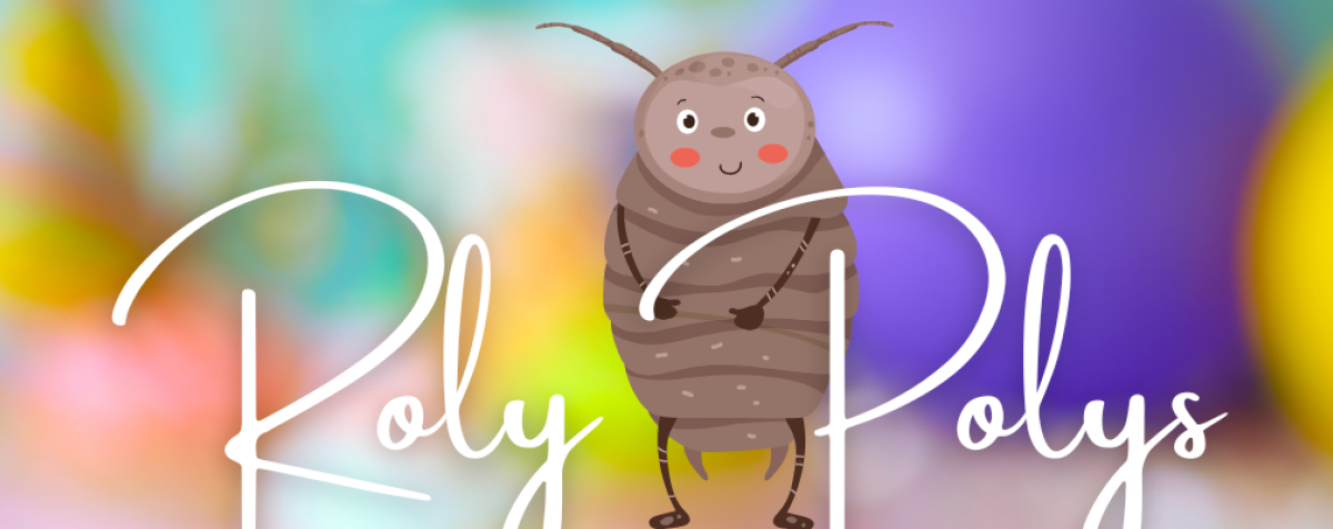 RolyPolyBanner
