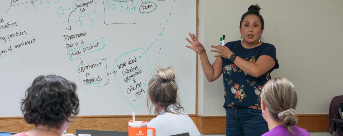 A Higher Education classroom lecture